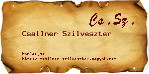 Csallner Szilveszter névjegykártya